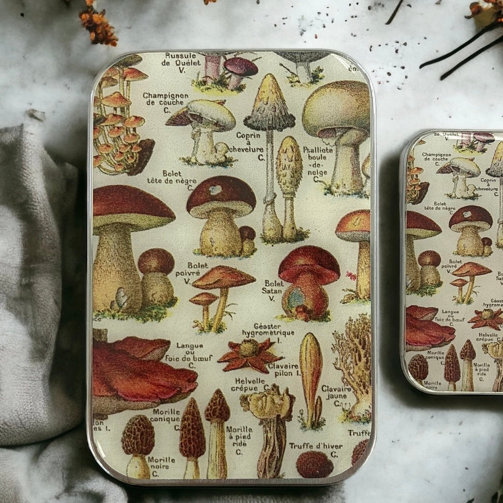 Mushroom Tin