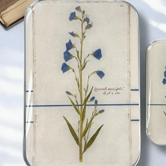 Bellflower Tin
