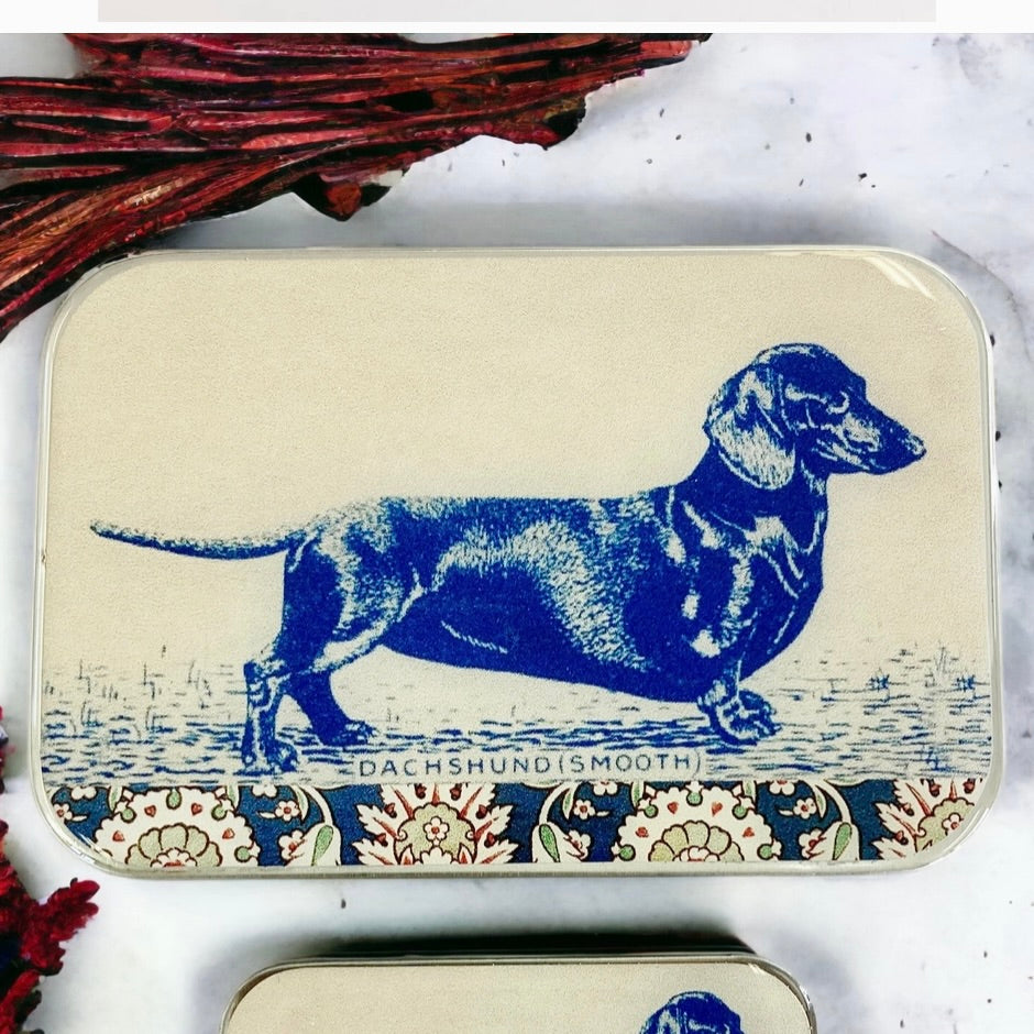 Dachsund Tin