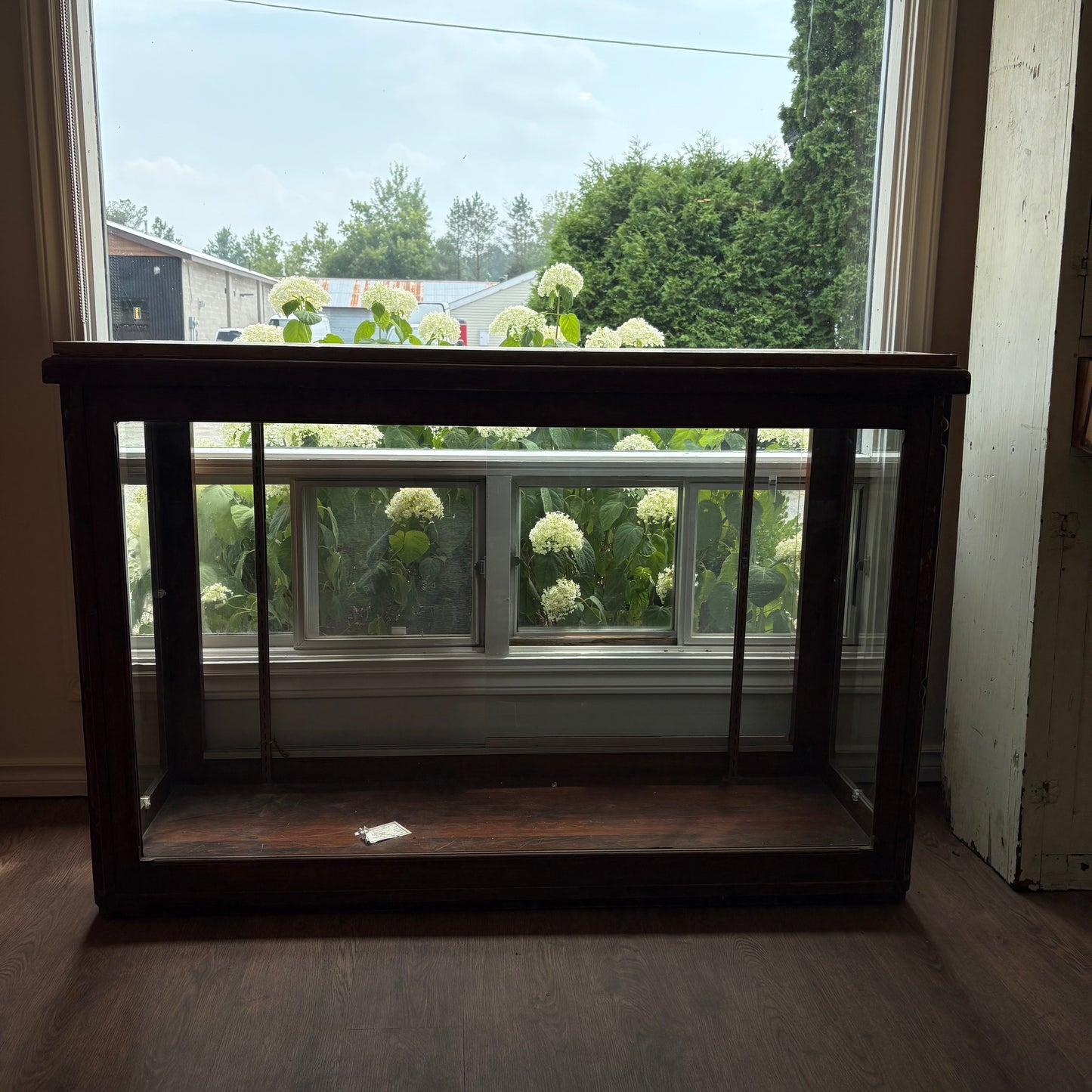 Store Display Cabinet