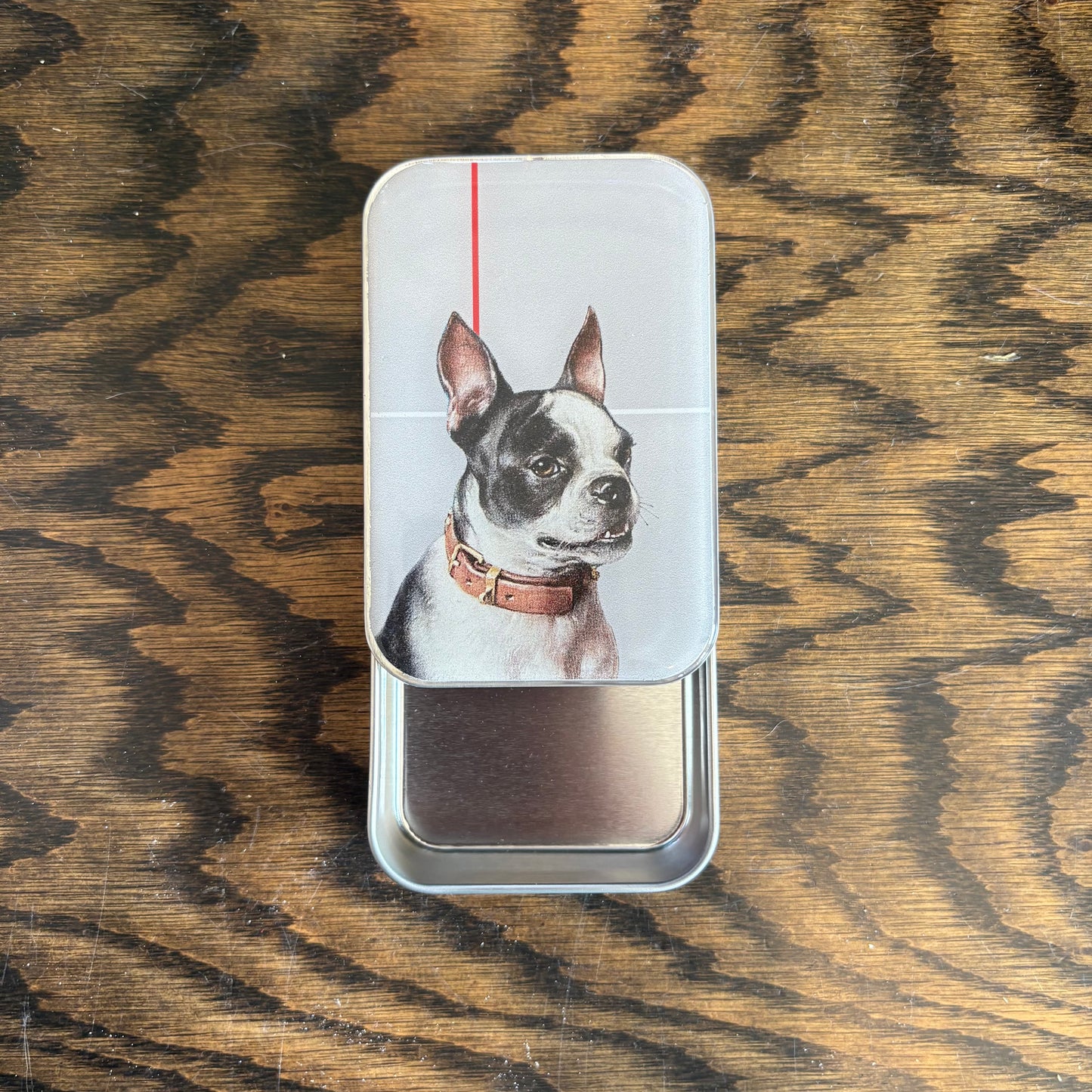 Boston Terrier Tin