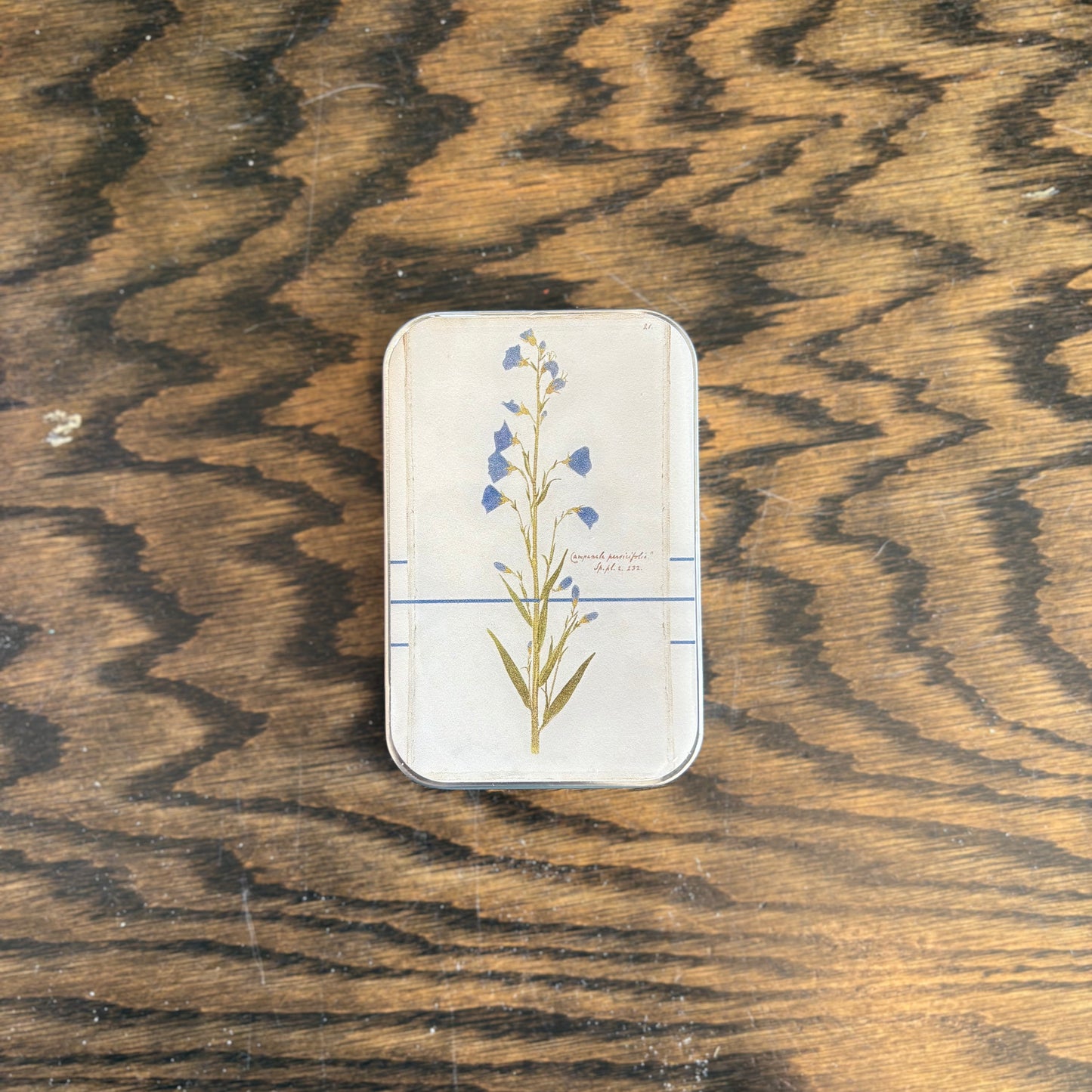 Bellflower Tin