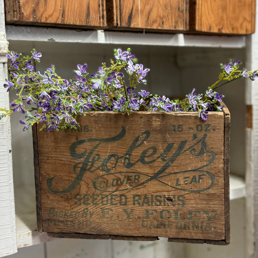 Foleys Seeded Raisin Crate