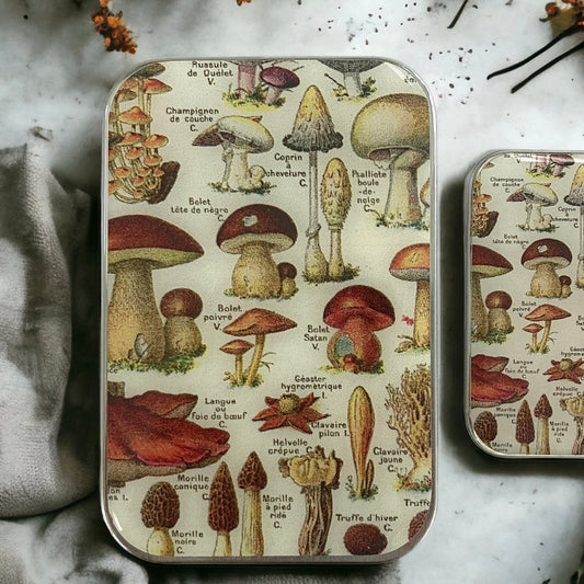 Mushroom Tin