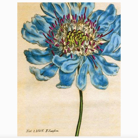 Blue Flower Card