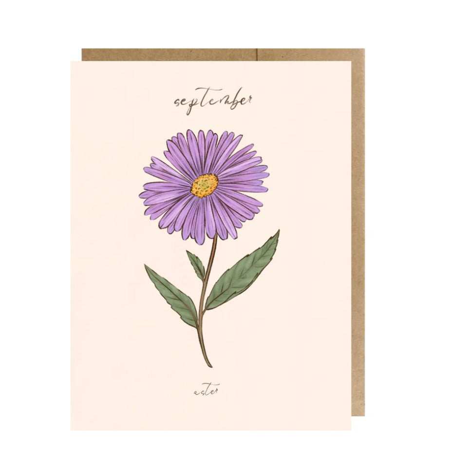 September Birth Month Flower - Aster Greeting Card