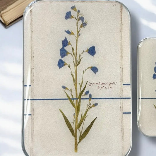 Bellflower Tin