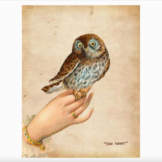 Yoo Hoo Owl Card