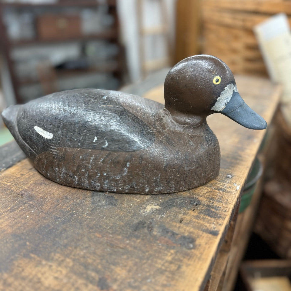 Duck Decoy Brown - Grey Beak