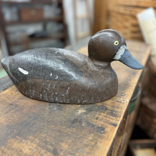 Duck Decoy Brown - Grey Beak