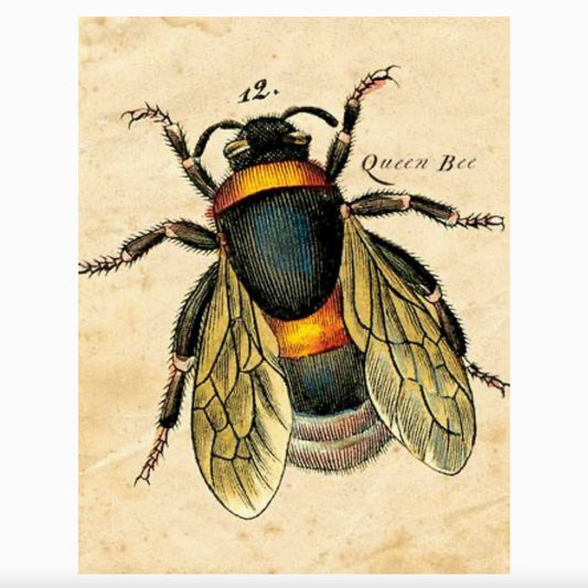 Queen Bee Card