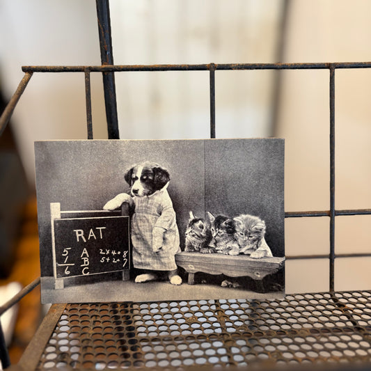 Teachers Pets Post Card