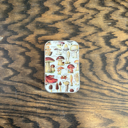Mushroom Tin